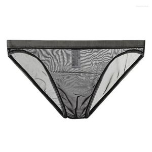 Mutande 2022 Biancheria intima sexy da uomo in seta di ghiaccio Slip a vita bassa Mutandine in rete traspirante senza cuciture Vedere attraverso Lingerie Vita morbida