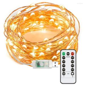 Saiten 1 / 2PCS LED-Lichterketten 33ft 100 USB-Stecker in Fee 8 Modi Kupferdraht Wasserdichte Fernbedienungslampen