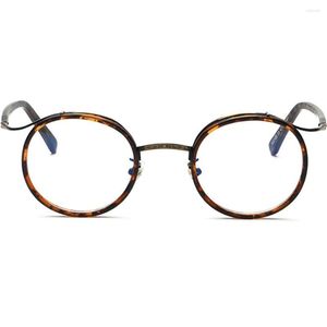 Okulary przeciwsłoneczne Progresywne wieloogniskowe okulary czytania mężczyźni kobiety seksowne lampart mogą zobaczyć dalekie i bliskie wzrok Diopter 100 150 NX