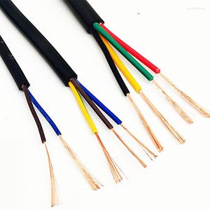 Accessori per l'illuminazione 26/24/22/20AWG2/3/4/5/6/10/8/12/14 Anima in PVC con guaina in filo di rame conduttore elettrico cavo RVV nero morbido