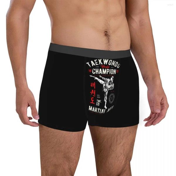 Unterhosen, Herren-Boxershorts, Taekwondo-Kampfsport, Dekokissen zum Verkauf, exotische Unterwäsche, kreativ, lustig, Neuheit, Frühling, tragbar