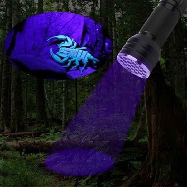 Torcia UV 1 LED 21 Torcia LED 395-400nm Torce ultraviolette per lampada rilevatore di scorpioni di urina per cani e gatti