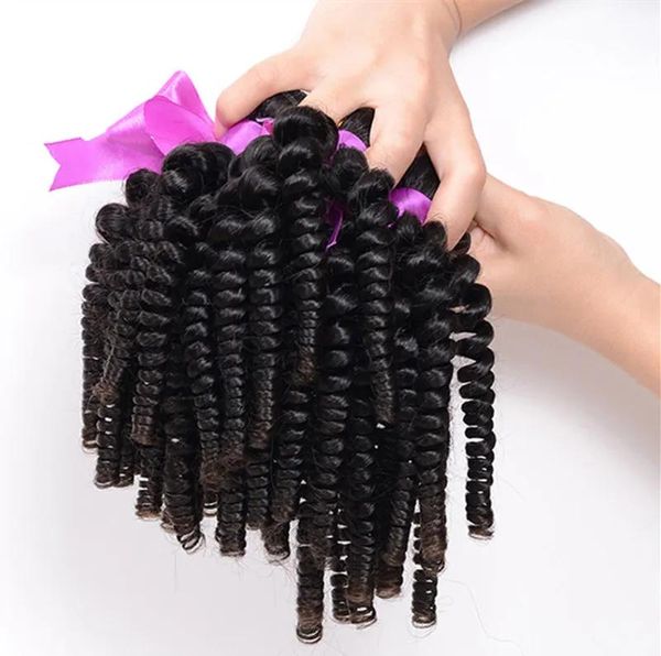 Webt Elibess 3 Bündel Afro-Kinky-Curly-Haar-Spiral-Curl-Webart, 100 brasilianisches Echthaar, lockiges Tante-Funmi-Haar mit federnden Locken, Schuss