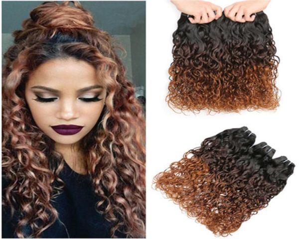 1B430 Auburn Ombre El cabello humano brasileño mojado y ondulado teje 3 piezas Negro Marrón Auburn 3 tonos Ombre Paquetes de cabello virgen Onda de agua8761605