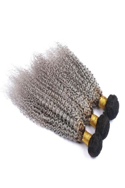 2 Toni 1b Grigio Ombre Capelli Umani Afro Crespi Capelli Ricci Tesse Radici Scure Estensioni Dei Capelli Grigi Fasci Umani Brasiliani Vergini 3 PzL2845017