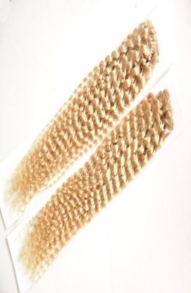 613 Bleach Blonde brasilianisches verworrenes lockiges Echthaar-Webart-Bündel, 2 Stück, doppelte Schussqualität, kein Haarausfall, 5960169