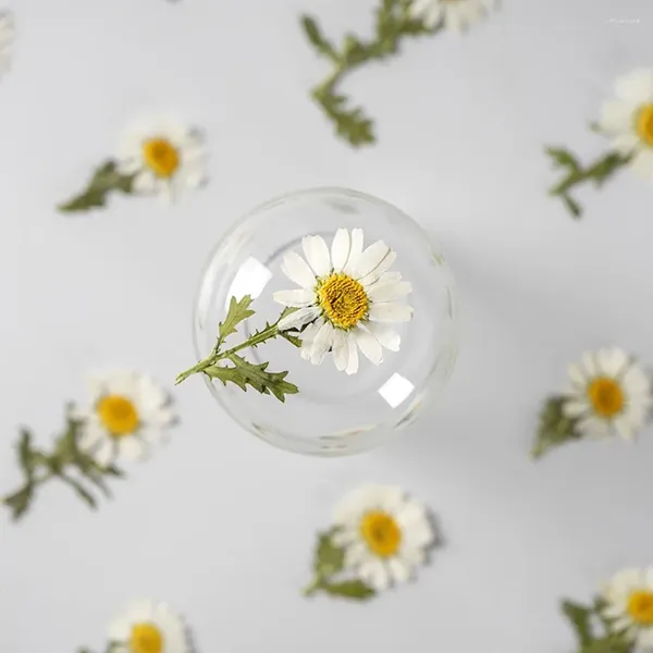 Dekorative Blumen, 6–8 cm, reines weißes Chrysanthemen-Stiel-Exemplar, DIY handgefertigtes Lesezeichen, Kleber, Tropfen, Handyhülle, Material, Blumendekoration