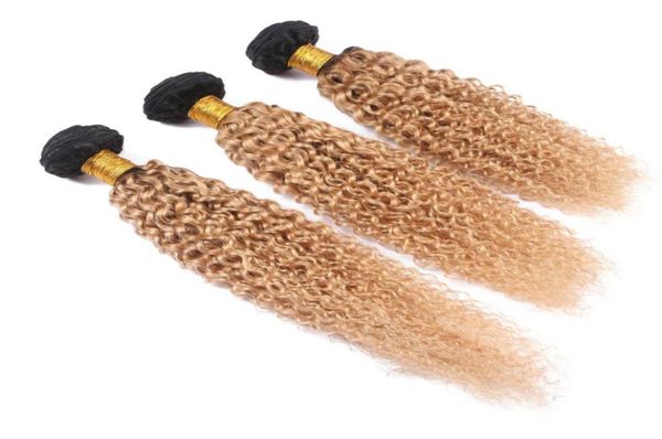 Deux Tons 1b 27 Miel Blonde Ombre Crépus Bouclés Extension de Cheveux 3PcsLot Afro Kinky Curl Brésilien Vierge Cheveux Humains Tisse Mariage H8243746