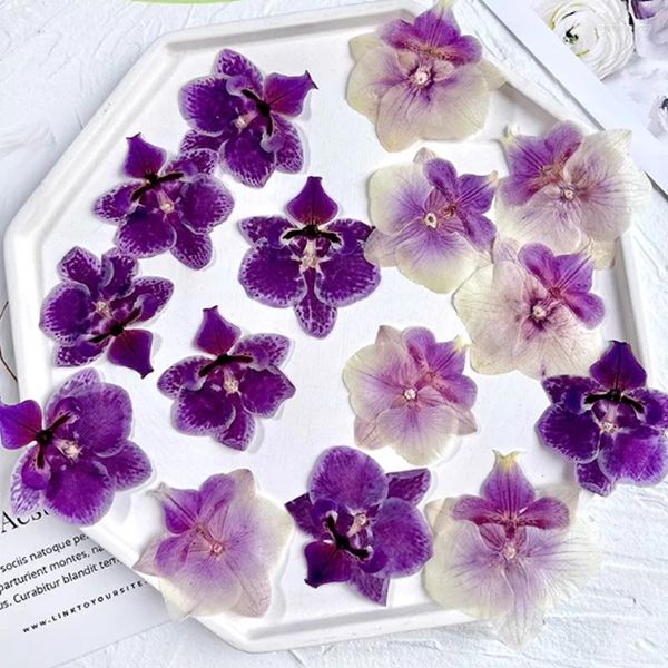 Flores decorativas borboleta orquídea secas e plantas para decoração de lâmpada de mesa 20 peças por lote frete grátis