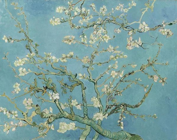 Pinturas pintadas à mão reproduções de pinturas a óleo amendoeira em flor, 1890 por Vincent Van Gogh Pintura artística de flores para decoração de sala de jantar