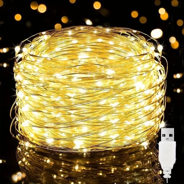 1 pz USB Plug In Fata Luci 100 LED Filo Argentato Impermeabile Luci Della Stringa Di Natale Luci Scintillanti Per Camera Da Letto Patio Giardino Festa Decorazioni Di Illuminazione Di Nozze