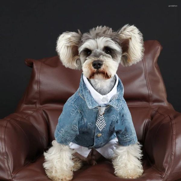 Abbigliamento per cani Autunno Vestiti per animali Camicie di jeans per cuccioli Cani di piccola taglia Giacche carine Gatti Schnauzer Akita Pug Felpe con cappuccio