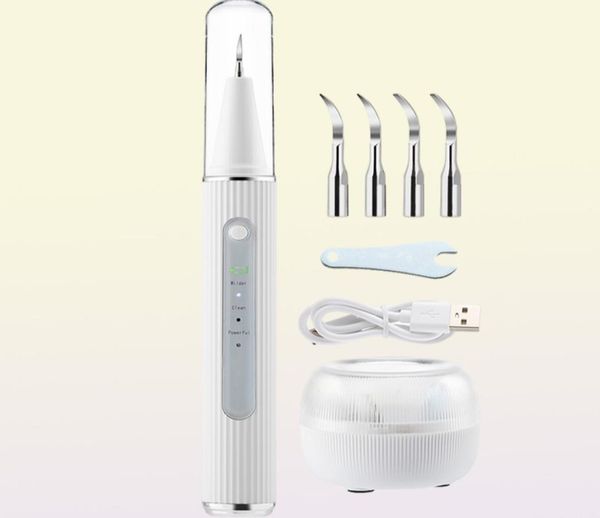 Removedor de cálculo elétrico dental ultrassônico, placa dental com câmera hd, limpador de tártaro oral, remoção de manchas 2202284344888