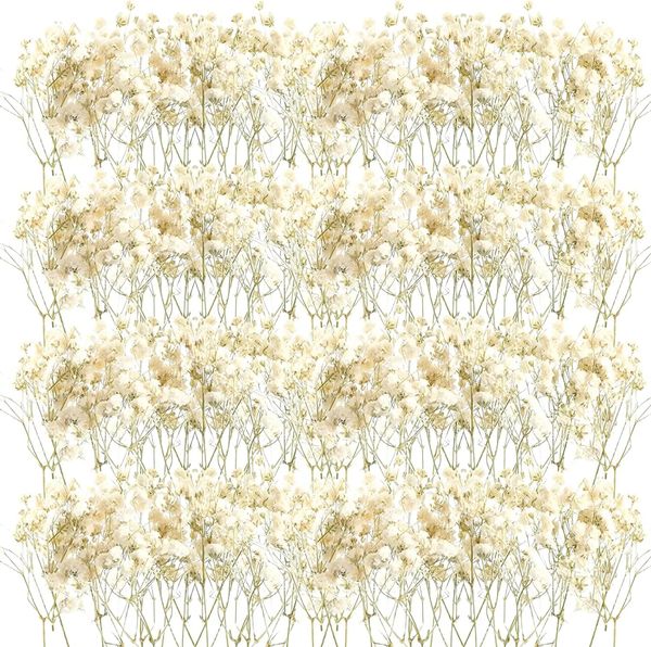 50 stuks mini gedroogde baby adem bloem gypsophila ivoor natuurlijke bloemen voor vaas bruiloft thuis kantoor feest tuin kaart maken decor 240103