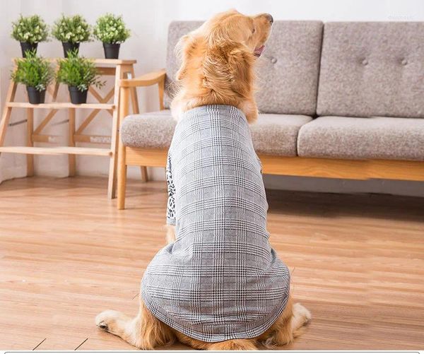 Abbigliamento per cani Abiti primaverili e autunnali Cappotto in samoiedo maglione scozzese di lana dorata