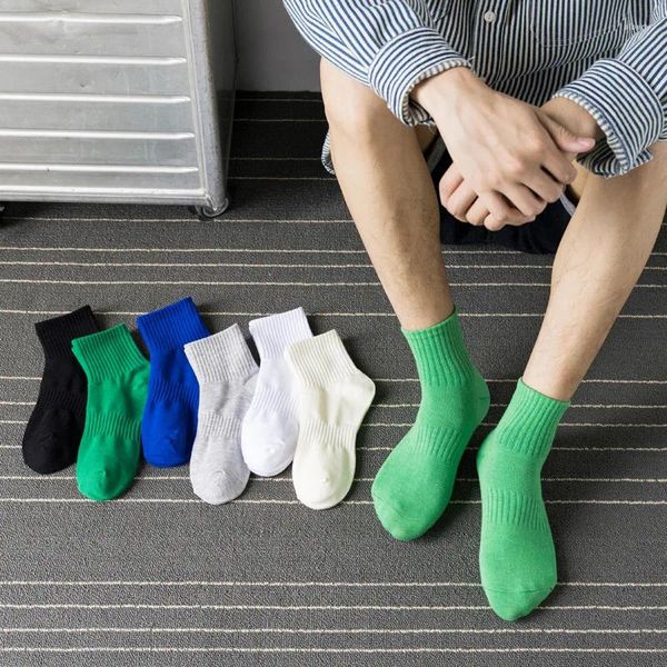 Herrensocken, 1 Paar, grün, blau, weiß, schwarz, einfarbig, lässig, Mittelrohr, Frühling, Sommer, Herbst, Jahreszeiten, Sport