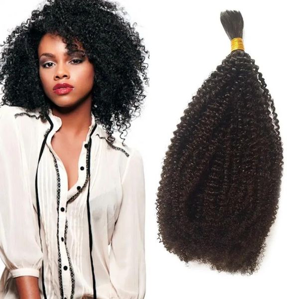 Bulklar Siyah Kadınlar İçin İnsan Örgüsü Dökme Saç Moğol Sıkı Afro Kinky Kıvırcık Dökme Saç Uzantıları 1 Paket Fdshine