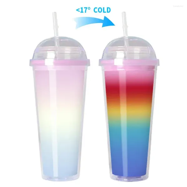 Garrafas de água copos criativos mudança de cor copo bebendo com palha caneca de bebida reutilizável de qualidade alimentar para casa drinkware