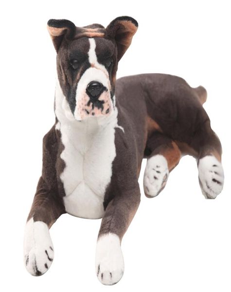 Dorimytrader animale realistico cane Boxer peluche grande simulazione farcito cani bambola regalo per bambini 31 pollici 80 cm DY618955524296