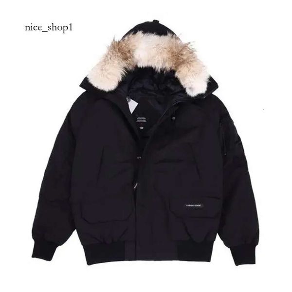 canda ganso casaco de inverno canadense chiliwack piloto jaqueta designer das mulheres dos homens para baixo parkas homme outerwear casacos canada goode jaqueta 8349