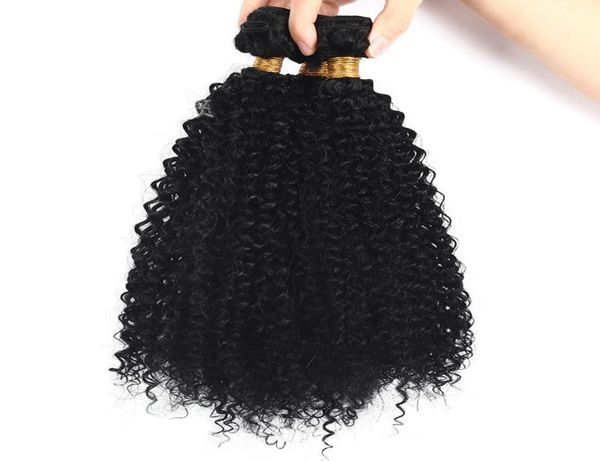 4b 4c Bulk Echthaar zum Flechten peruanischer Afro Kinky Curly Bulk Haarverlängerungen ohne Befestigung FDSHINE2507169