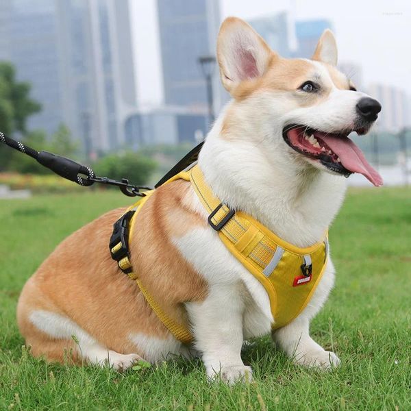 Coleiras de cachorro cinta de peito reflexiva com corda de trela durável respirável leva acessórios para cães