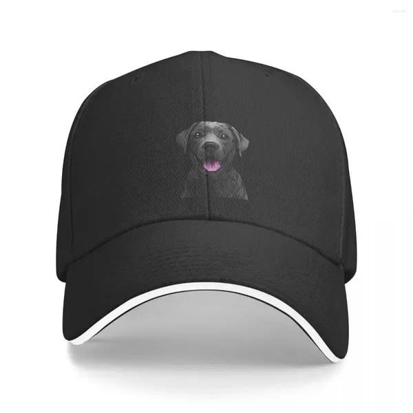 Berretto da baseball nero Labrador Retriever Dog Lab Cappello da spiaggia |-F-| Uomini Donne