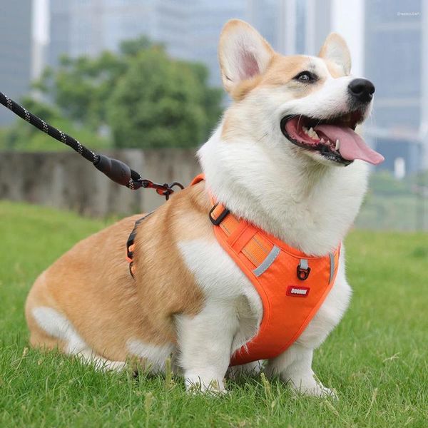 Collari per cani Strisce riflettenti Imbracatura con corda rotonda Comodi accessori per cani al guinzaglio regolabili