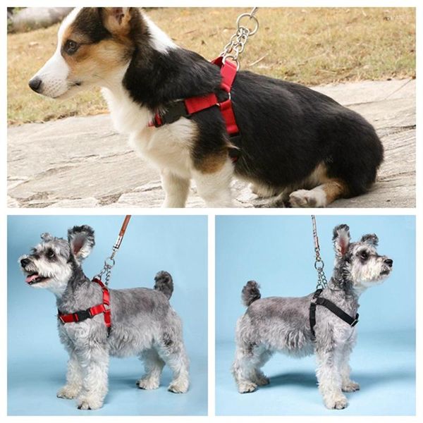 Abbigliamento per cani Pettorina per gatti di piccola taglia e media Collare per gilet regolabile Cucciolo Outdoor Walking Chihuahua Terier Schnauzer Arnes Para Perro