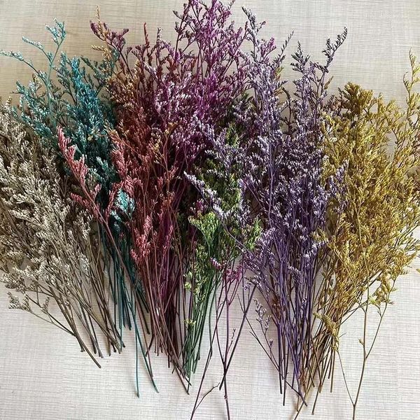 Dekorative Blumen 10–12 cm/15 Stück, echte natürliche kleine getrocknete Liebeszweige, konserviertes Gras, tanzende Blume, DIY für Kerzenherstellungszubehör