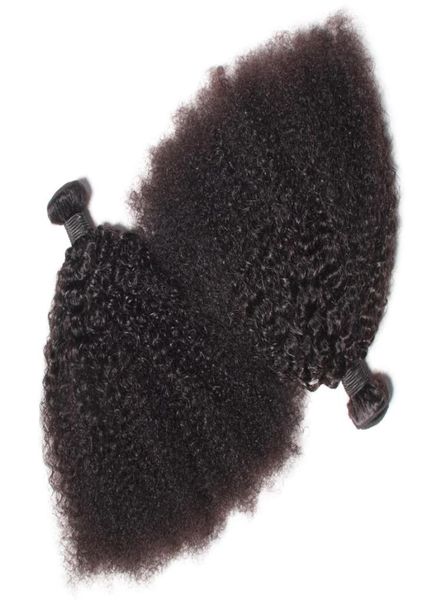 Brezilyalı bakire insan saçı afro kinky kıvırcık dalga işlenmemiş remy saç örgüsü çifte atkılar 100 gbundle 2bundlelot boyanabilir bl4930363