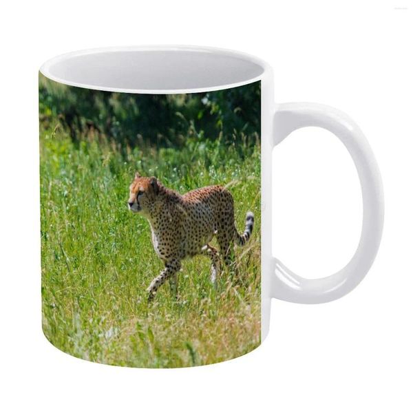 Canecas Cheetah Caneca Branca para Amigos e Família Presente Criativo 11 Oz Café Cerâmica África Africano Leopardo Animal Adormecido Bush Carro