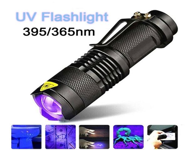 Lanterna UV LED Tocha ultravioleta com função de zoom 365395 nm Mini luz preta UV Detector de manchas de urina para animais de estimação Campo Hunting2860457