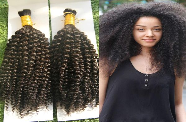 Mongol solto afro kinky encaracolado crochê tranças micro trança 200g trança de cabelo em massa cabelo solto 2 pçs cabelo humano trança Bulk3595645