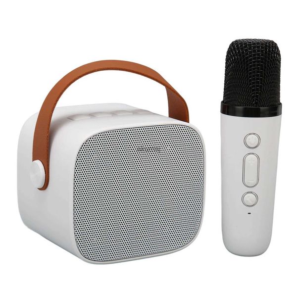 Alto-falantes portáteis Bluetooth Speaker Microfone Set HD Estéreo Recarregável Mini Portátil Retro Máquina de Karaokê para Crianças Adultos Festa YQ240106