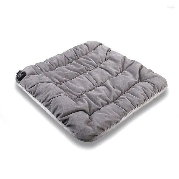 Tappeti Tappetino riscaldante elettrico Cuscino Sedia Car Pet Body Scaldino invernale riscaldato Coperta a temperatura regolabile a 3 velocità Tipo C