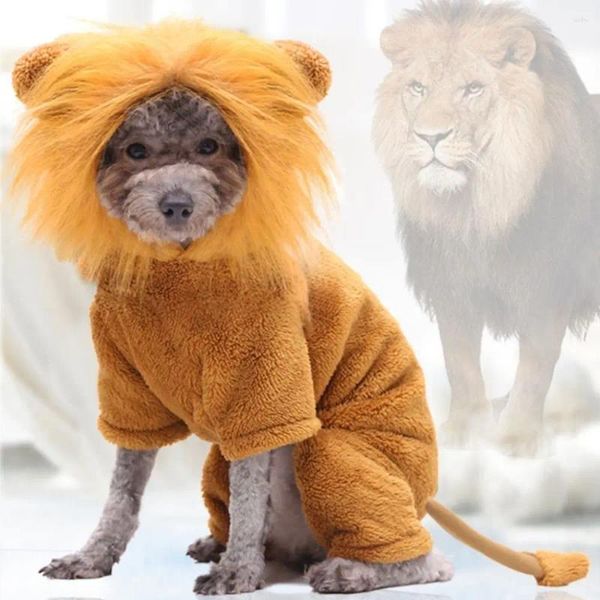 Abbigliamento per cani Vestiti dorati a forma di leone Morbido e carino Cosplay Inverno caldo e confortevole