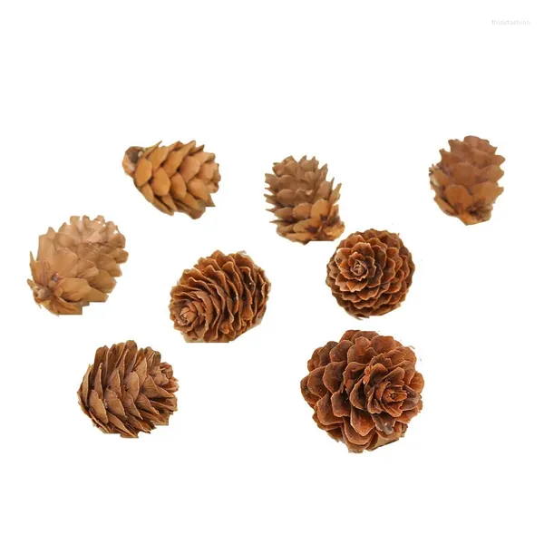 Decorações de Natal 10pcs pinhas naturais para artesanato variedade decoração rústica feriados de inverno mesa sinais de casa