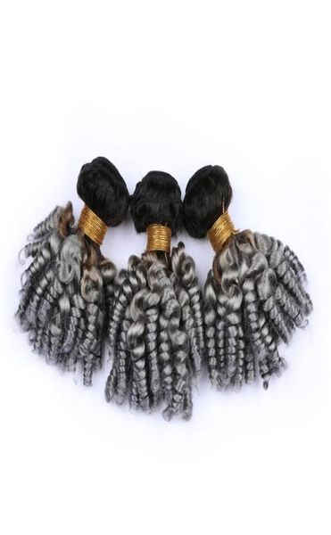 Silbergraues Ombre-Jungfrau-Brasilianisches Echthaar, Aunty Funmi Bundles Deals 3 Stück 1BGrey Dark Root Ombre Human Hair Weaves Curly Exte7447936