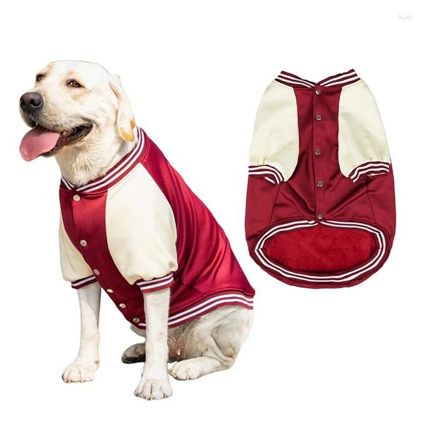 Hundebekleidung Winter-Haustierkleidung Warmes Sweatshirt Baseballuniform Kleine mittelgroße Hundejacke Kleidung für Labrador-Kostüm