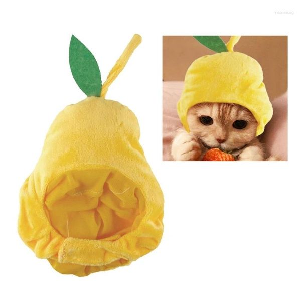 Costumi per gatti Cappello per cosplay di Halloween per animali domestici per cani Simpatico peluche a forma di pera divertente Pografia