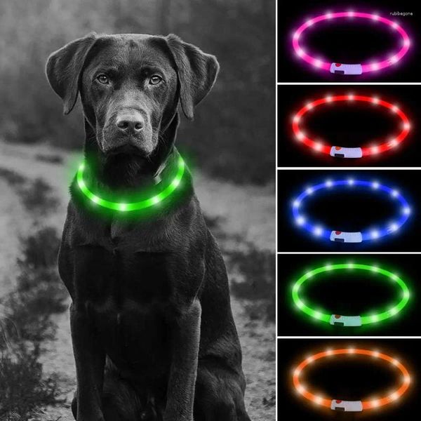 Collari per cani Collare luminoso a LED Lampeggiante luminoso USB ricaricabile Collana leggera per i tuoi cani Camminare sicuri di notte Anti-smarrimento