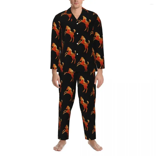 Erkekler Sweetwear At Pijama Seti Geometrik şekiller Yumuşak Çift Uzun Kollu Gevşek Ev 2 Parça 2 Parça Nightwear Büyük Boyut XL 2XL