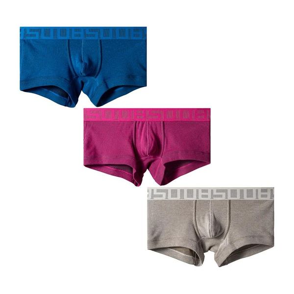 Hosen 3pcs Sexy Long Boxer Männer Unterwäsche Boxershorts Hochelastizität nahtloser Baumwoll -Höschen Dessous Männer lässige Shorts 2023