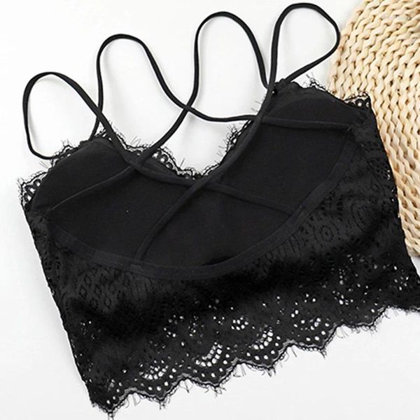 Bustiers Corsets Women Women acolchoado BRA HOLL BRA SWEET INTIMA CRUZ