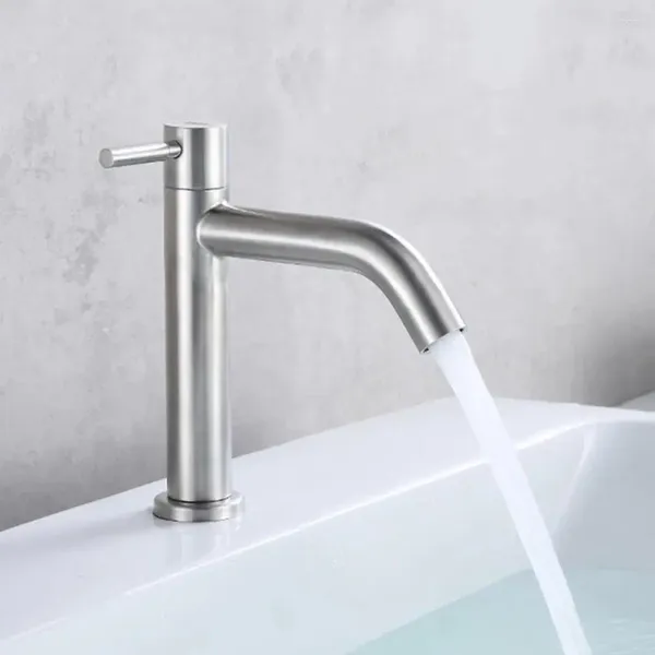 Rubinetti per lavandino del bagno Rubinetto singolo per lavabo freddo Lavabo in acciaio inossidabile 304 Filtro argento Impurità Accessori per la cucina