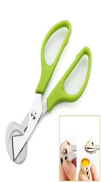 Piccione Uovo di Quaglia Forbice Uccelli Taglierina Apri Uovo Affettatrici Cucina Casalinga Strumento Clipper Accessori Gadget Convenienza DHA4484202333