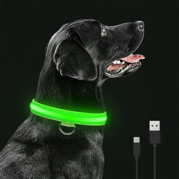 Collari per cani con luce notturna a LED Collare luminoso impermeabile ricaricabile Collana regolabile per cani da compagnia Sicurezza