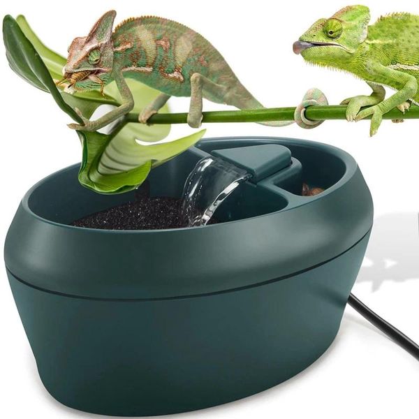 Abbigliamento per cani Rettile Chameleon Cantina con depressione che beve gocciolatura per acqua per gli anfibi Insetti Lizard US