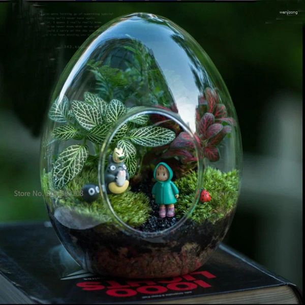 Vasos criativo micro-paisagem em forma de ovo vaso de vidro plantas suculentas garrafa de musgo diy aquascape vazio decoração de casa